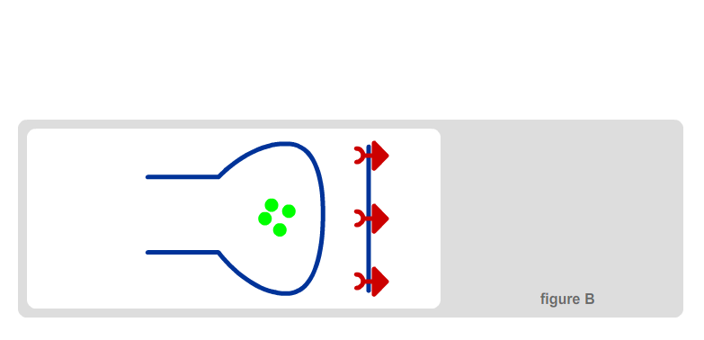 Ganglionic Synapse 3